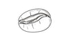 Hand-drawn sketch of a coffee bean with detailed line art